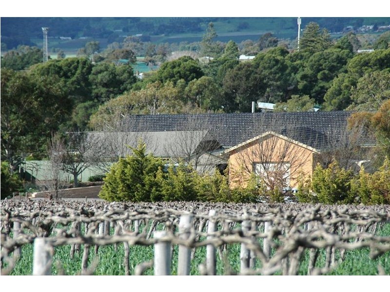 Lot 21 Presser Road, Tanunda SA 5352