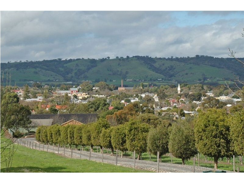 Lot 21 Presser Road, Tanunda SA 5352