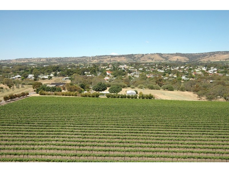 Lot 21 Presser Road, Tanunda SA 5352