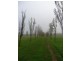 Lot 1 Netherford Road, Keyneton SA 5353