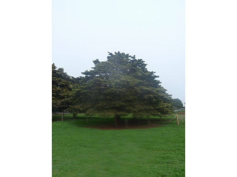 Lot 1 Netherford Road, Keyneton SA 5353