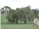 Lot 1 Netherford Road, Keyneton SA 5353