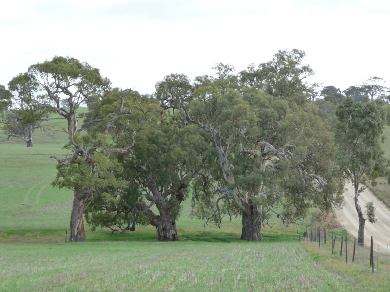 Lot 1 Netherford Road, Keyneton SA 5353