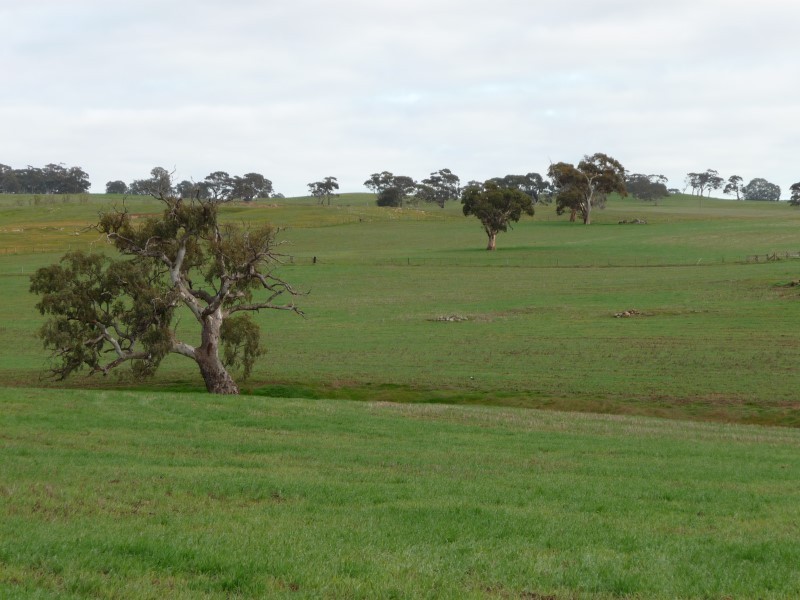 Lot 1 Netherford Road, Keyneton SA 5353
