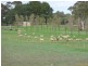 Lot 1 Netherford Road, Keyneton SA 5353