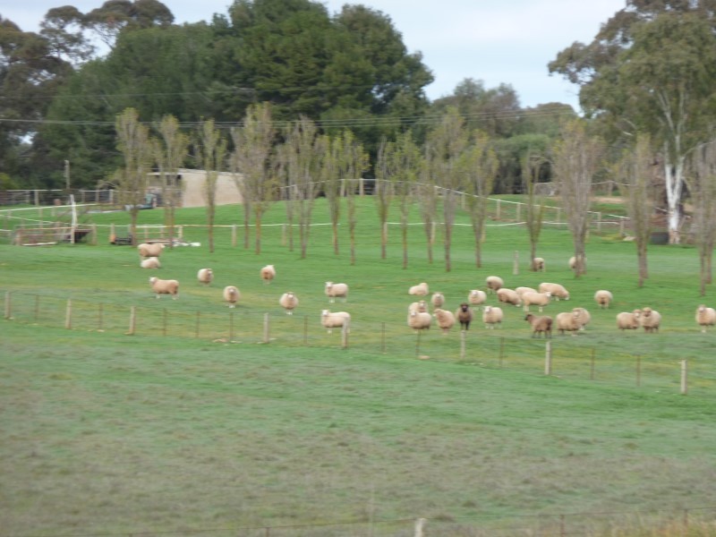 Lot 1 Netherford Road, Keyneton SA 5353