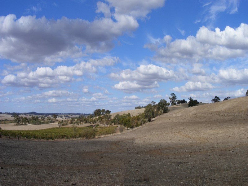 Lot 231 Moculta Road, Angaston SA 5353