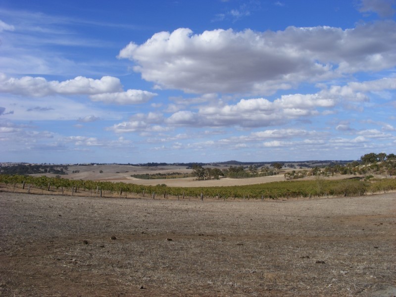 Lot 231 Moculta Road, Angaston SA 5353