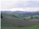 Lot 231 Moculta Road, Angaston SA 5353