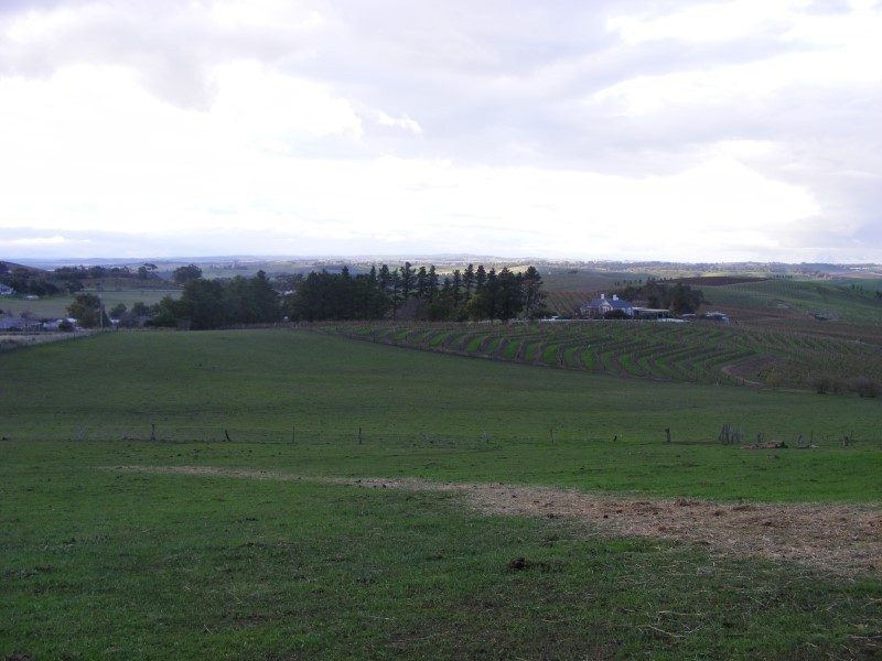 Lot 231 Moculta Road, Angaston SA 5353