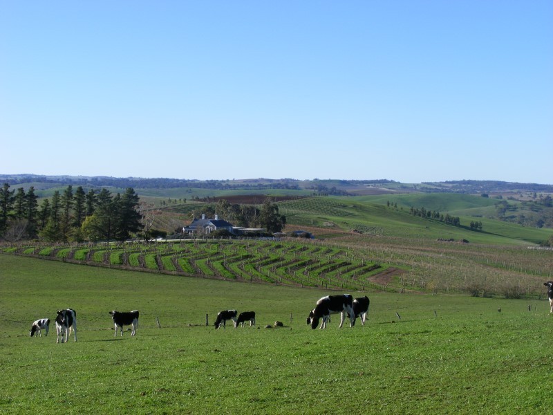 Lot 232 Moculta Road, Angaston SA 5353