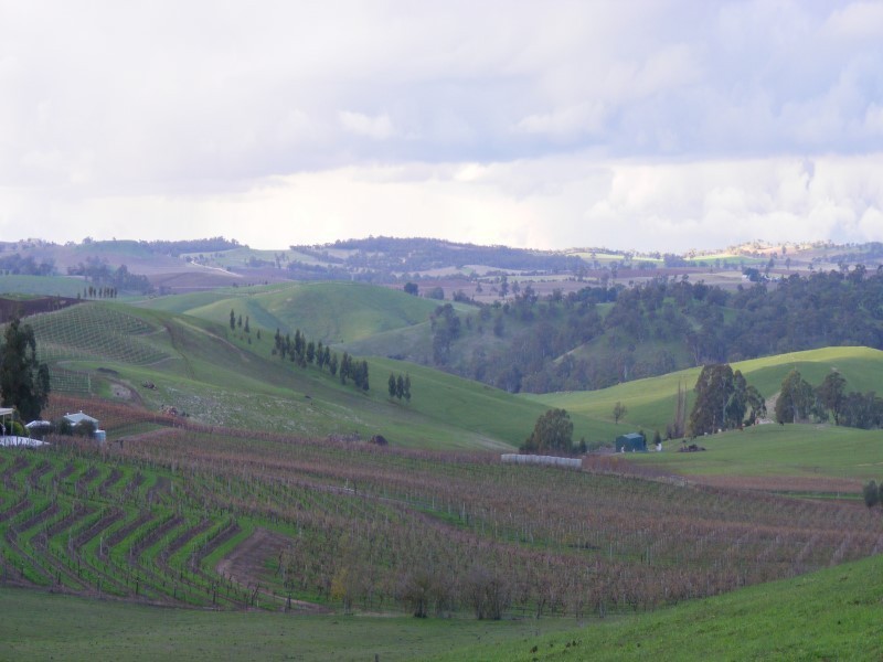 Lot 232 Moculta Road, Angaston SA 5353
