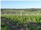 Lot 1 Hanna Rd, Forreston SA 5233