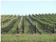 Lot 1 Hanna Rd, Forreston SA 5233