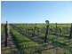 Lot 1 Hanna Rd, Forreston SA 5233