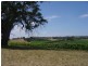 Lot 1 Hanna Rd, Forreston SA 5233