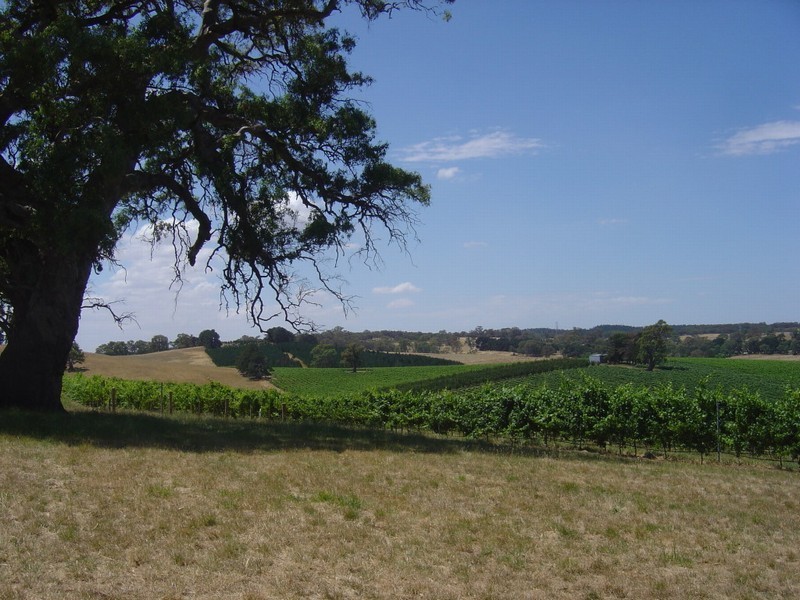 Lot 1 Hanna Rd, Forreston SA 5233