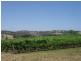 Lot 1 Hanna Rd, Forreston SA 5233