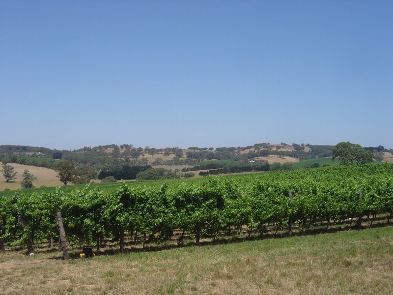 Lot 1 Hanna Rd, Forreston SA 5233