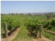 Lot 1 Hanna Rd, Forreston SA 5233