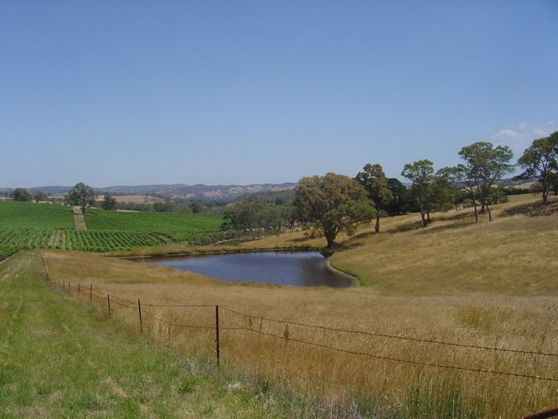 Lot 1 Hanna Rd, Forreston SA 5233