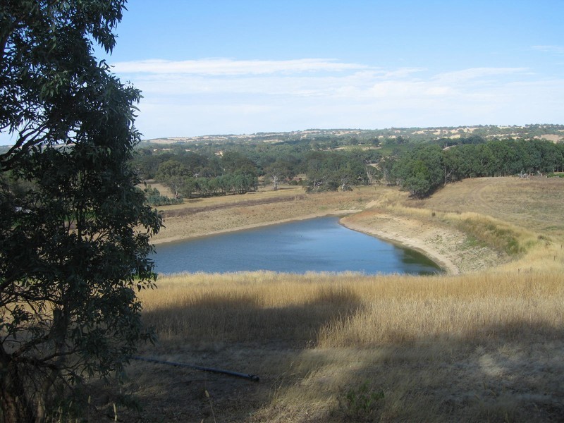 . Heggies Boundary, Angaston SA 5353