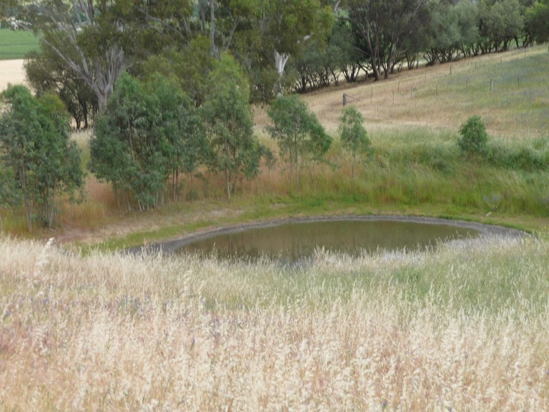 Piece 2 Lindner Road, Lyndoch SA 5351