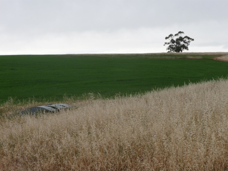 Piece 2 Lindner Road, Lyndoch SA 5351