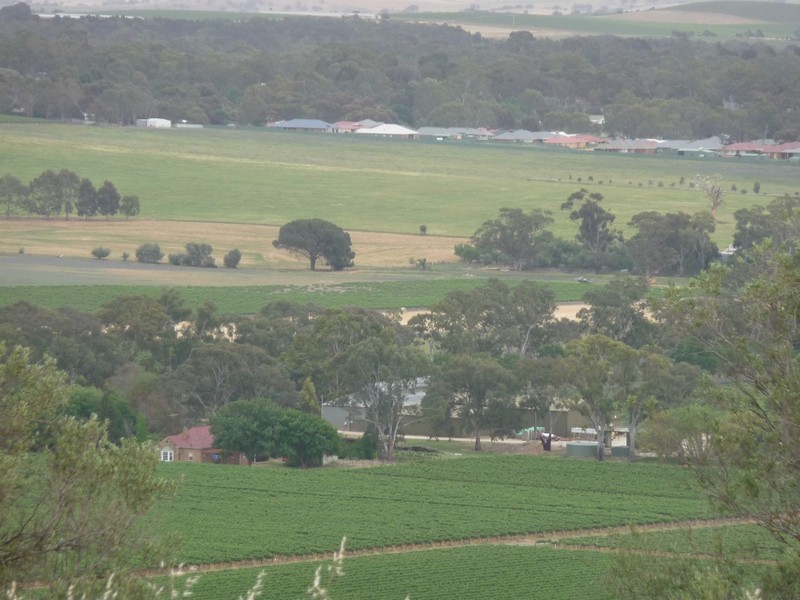 Piece 2 Lindner Road, Lyndoch SA 5351