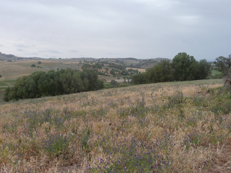 Piece 2 Lindner Road, Lyndoch SA 5351