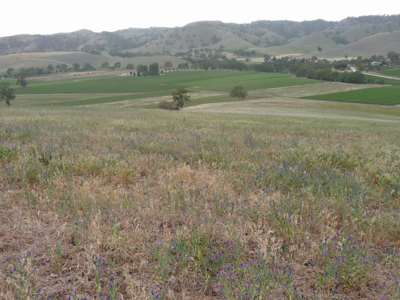 Piece 2 Lindner Road, Lyndoch SA 5351