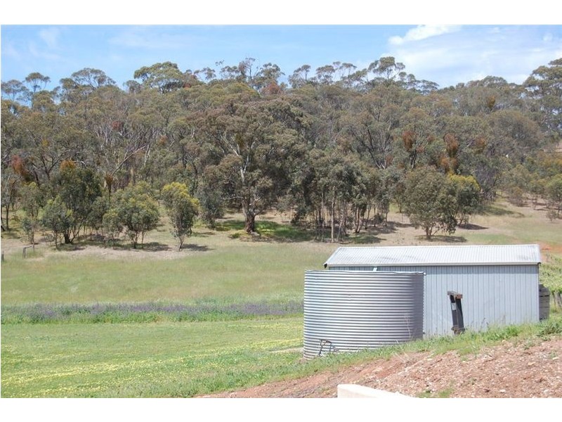 Lot 11 Gawler Park Road, Angaston SA 5353