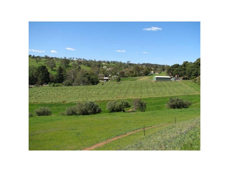 Lot 2, 113 Murray Street, Angaston SA 5353