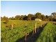 Lot 2, 113 Murray Street, Angaston SA 5353