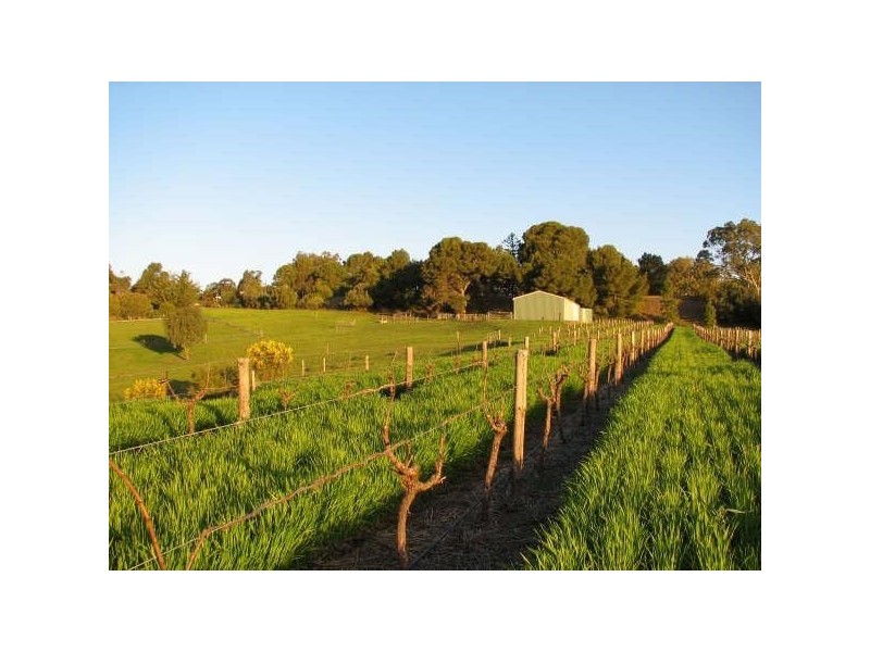 Lot 2, 113 Murray Street, Angaston SA 5353