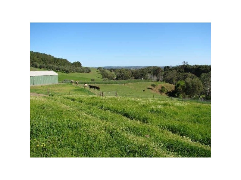 Lot 2, 113 Murray Street, Angaston SA 5353