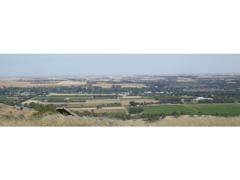 Lot 894 Rocky Valley Road, Menglers Hill, Angaston SA 5353