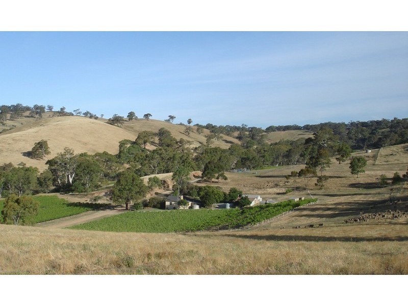 Lot 894 Rocky Valley Road, Menglers Hill, Angaston SA 5353