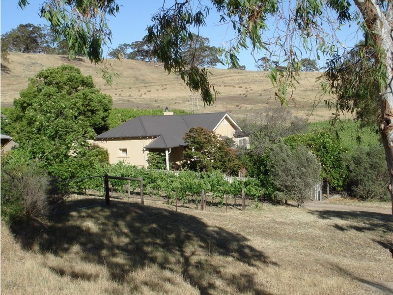 Lot 894 Rocky Valley Road, Menglers Hill, Angaston SA 5353