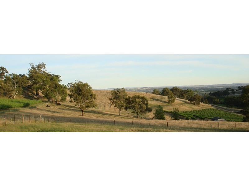 Lot 894 Rocky Valley Road, Menglers Hill, Angaston SA 5353