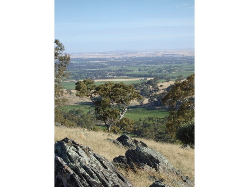Lot 894 Rocky Valley Road, Menglers Hill, Angaston SA 5353