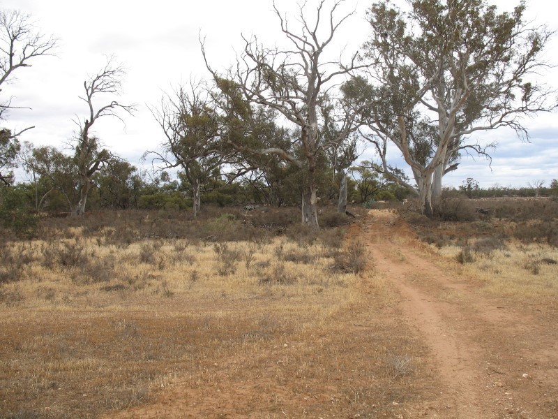 Lt F Sec98 Swamp Road, Truro SA 5356