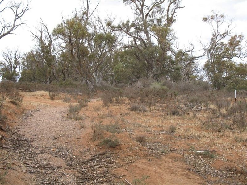 Lt F Sec98 Swamp Road, Truro SA 5356