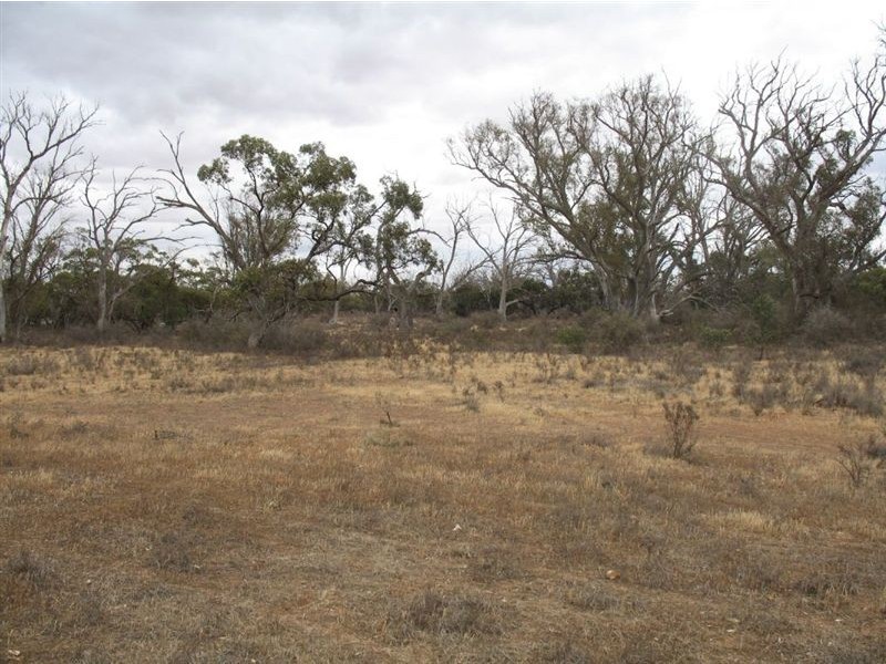 Lt F Sec98 Swamp Road, Truro SA 5356