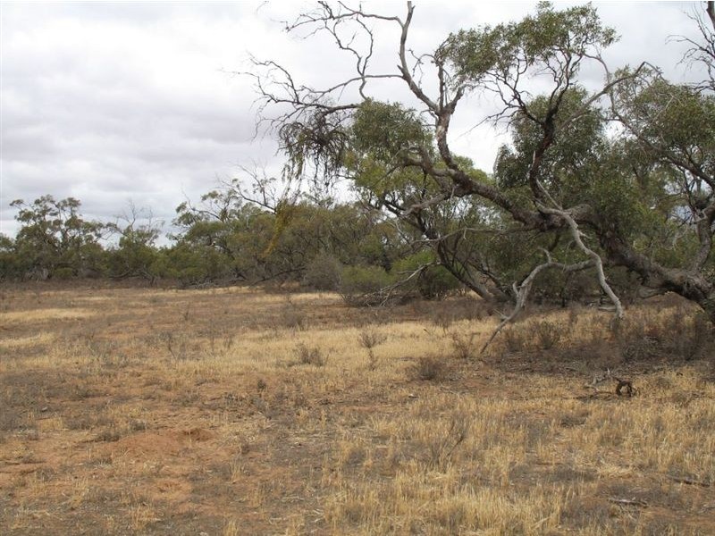 Lt F Sec98 Swamp Road, Truro SA 5356