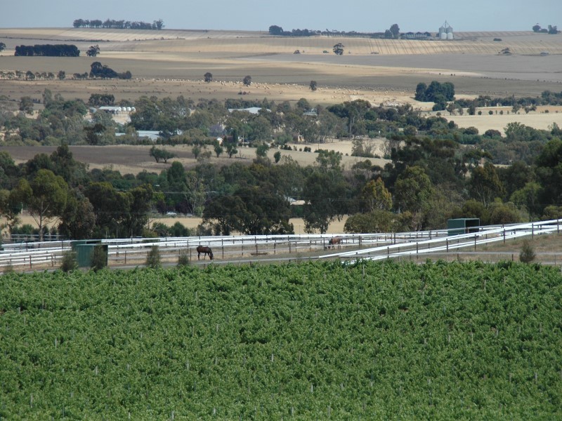 Lot 51 Rosedale Scenic Road, Rosedale SA 5350