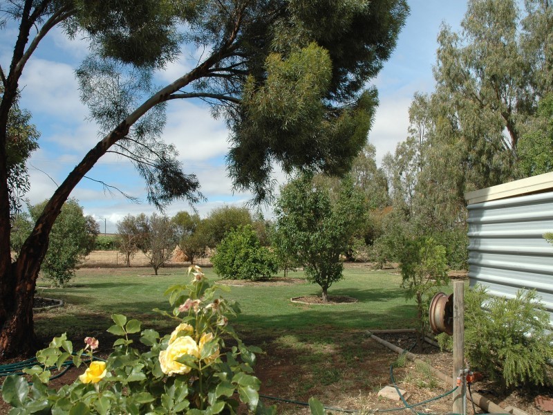 Lot 51 Rosedale Scenic Road, Rosedale SA 5350