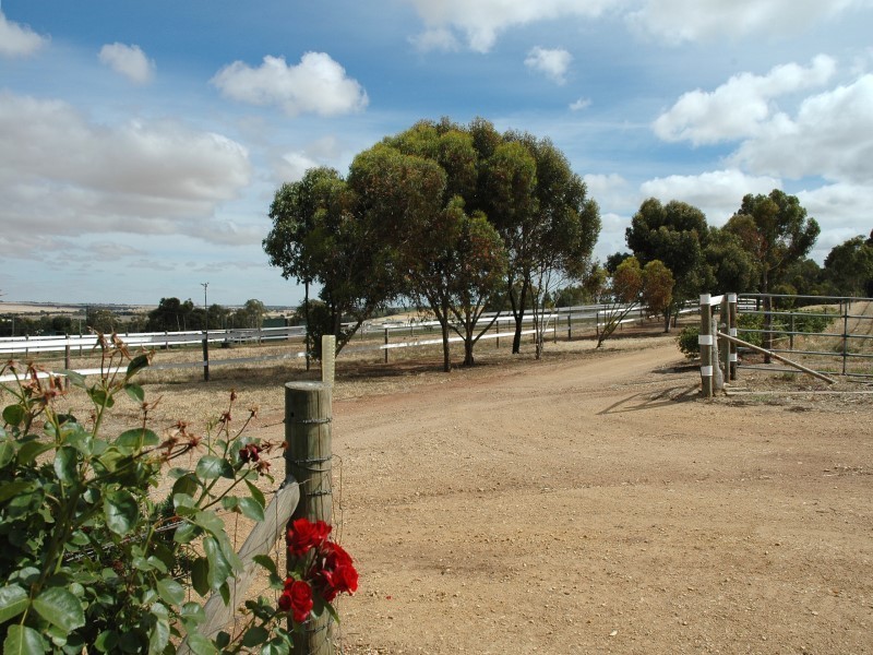 Lot 51 Rosedale Scenic Road, Rosedale SA 5350