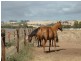 Lot 51 Rosedale Scenic Road, Rosedale SA 5350