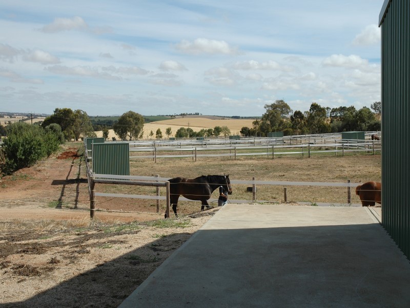 Lot 51 Rosedale Scenic Road, Rosedale SA 5350